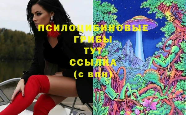 ешки Верхний Тагил