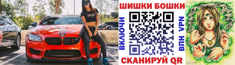 Купить где  Суджа  Бошки Шишки сатива 